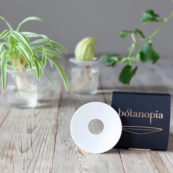 Tanjurić za klijanje: Botanopia - L