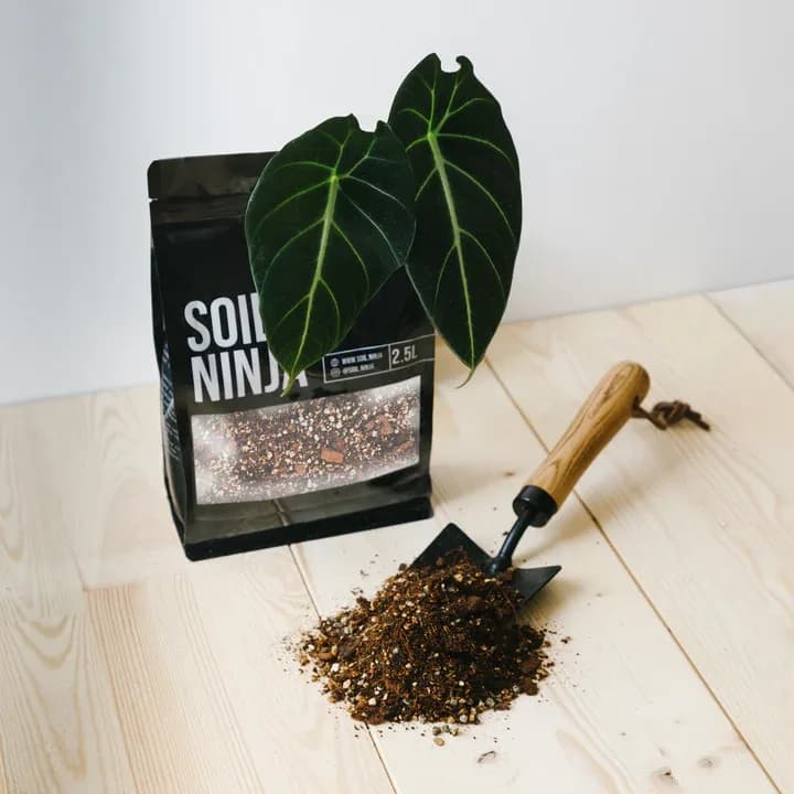 Supstrat za Alokazije - Soil ninja (supstrat, alocasia, zemlja) - 2,5 l