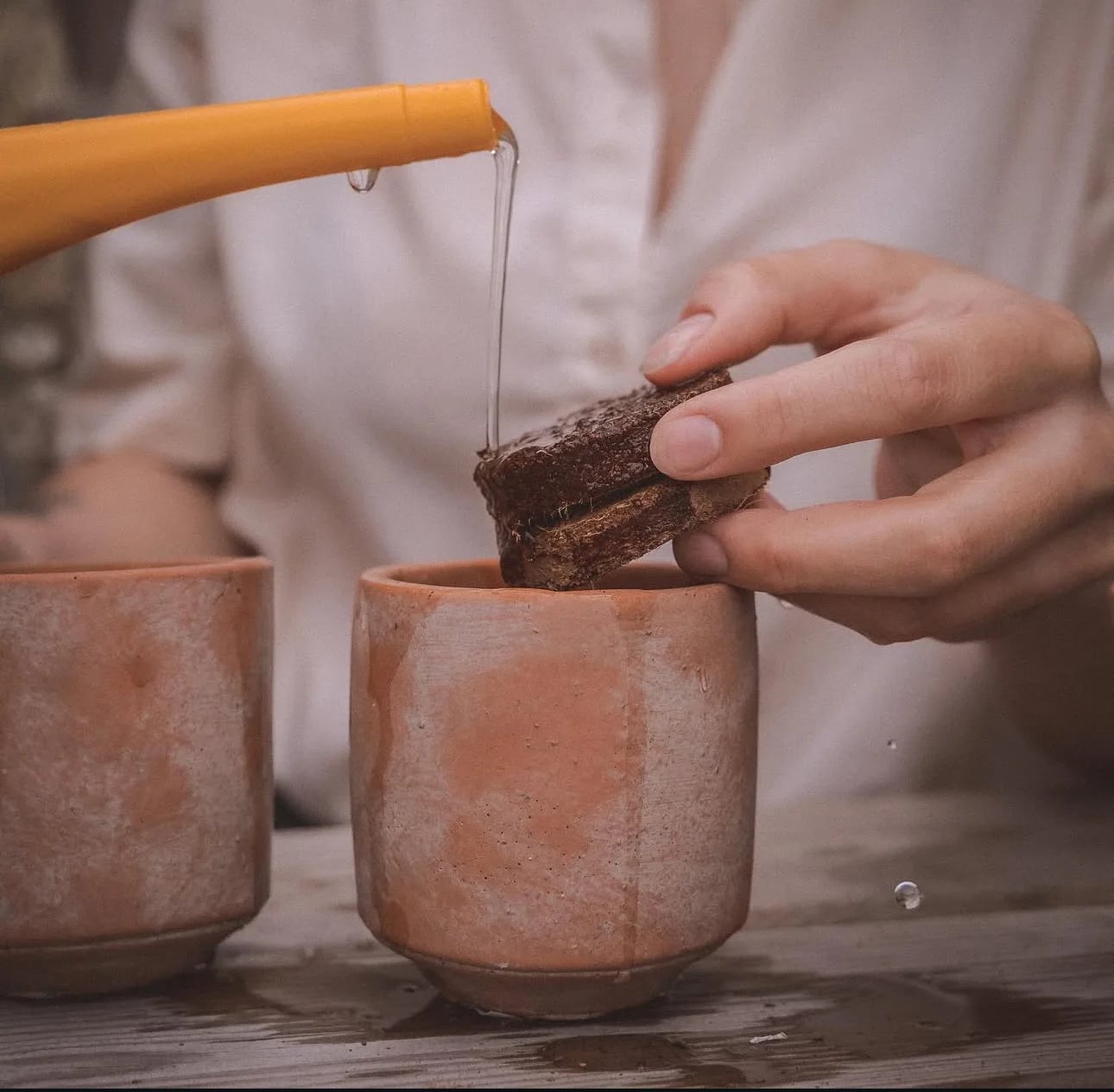 DIY set: Za uzgoj sobne biljke iz sjemena - Grow Your Own