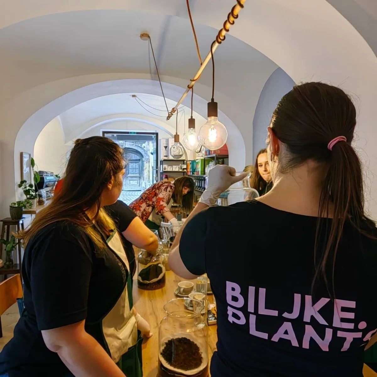 Teambuilding za djelatnice jedne tvrtke odvija se u zatvorenom prostoru te djevojke uče kako izraditi terarij.
