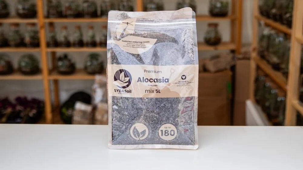 Zemlja za alocasie od 5l.