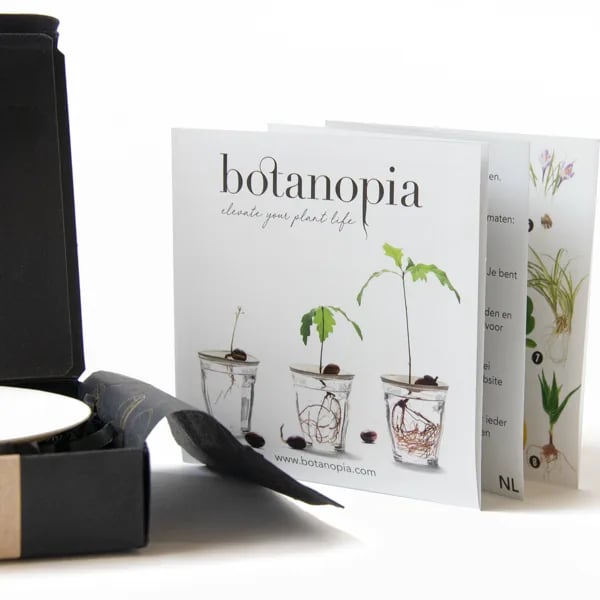 Tanjurić za klijanje: Botanopia - L