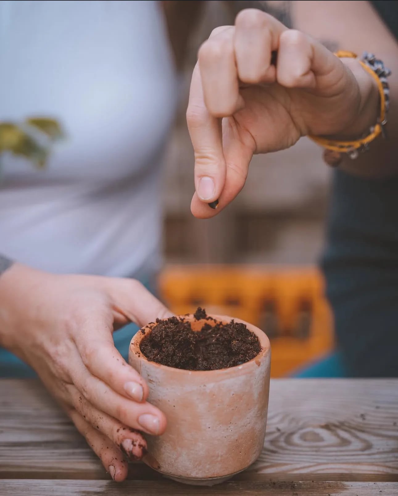 DIY set: Za uzgoj sobne biljke iz sjemena - Grow Your Own
