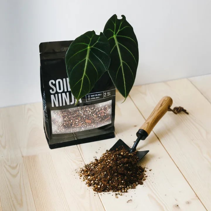 Supstrat za Alokazije - Soil ninja (supstrat, alocasia, zemlja) - 2,5 l