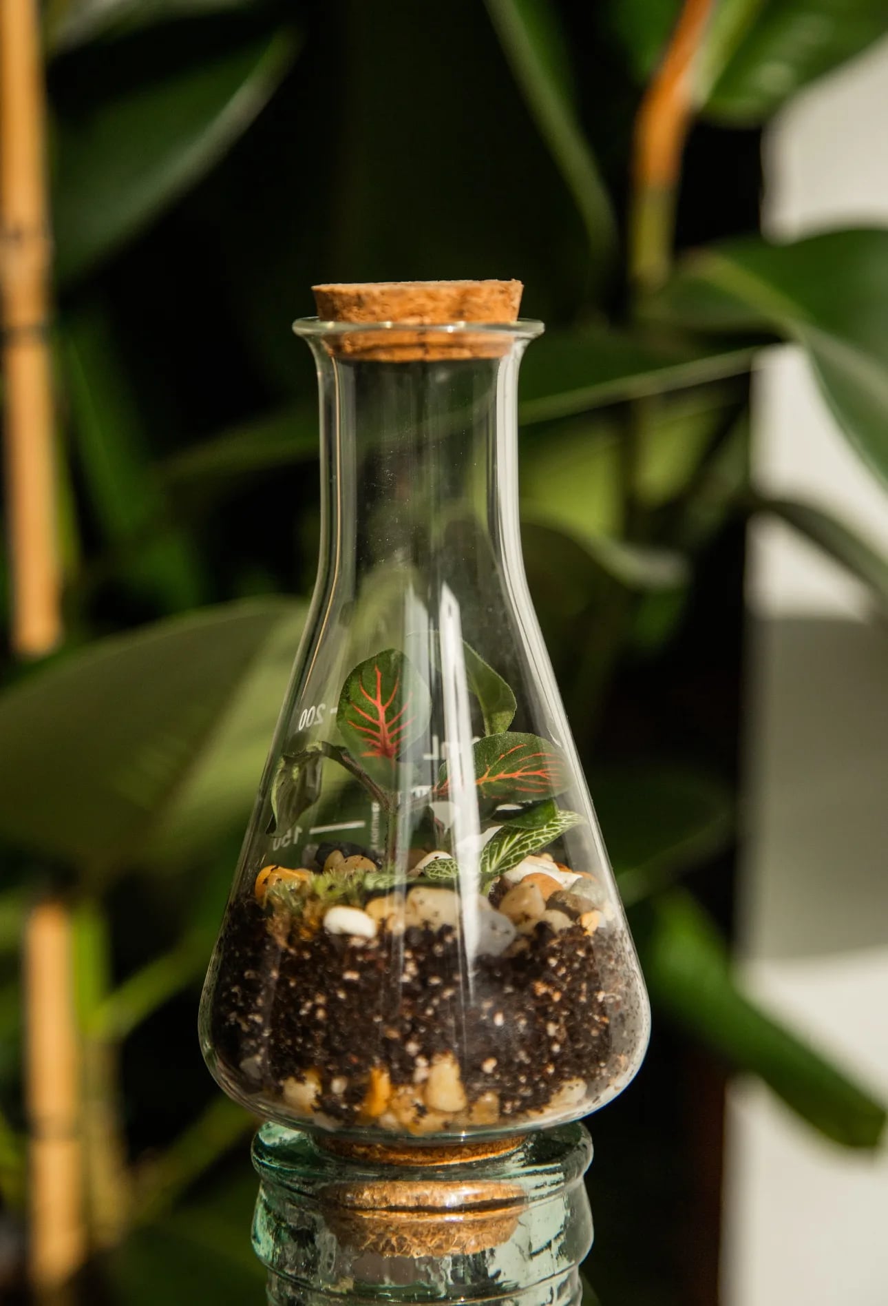 Terarij Love Potion