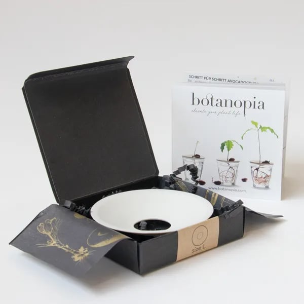 Tanjurić za klijanje: Botanopia - L