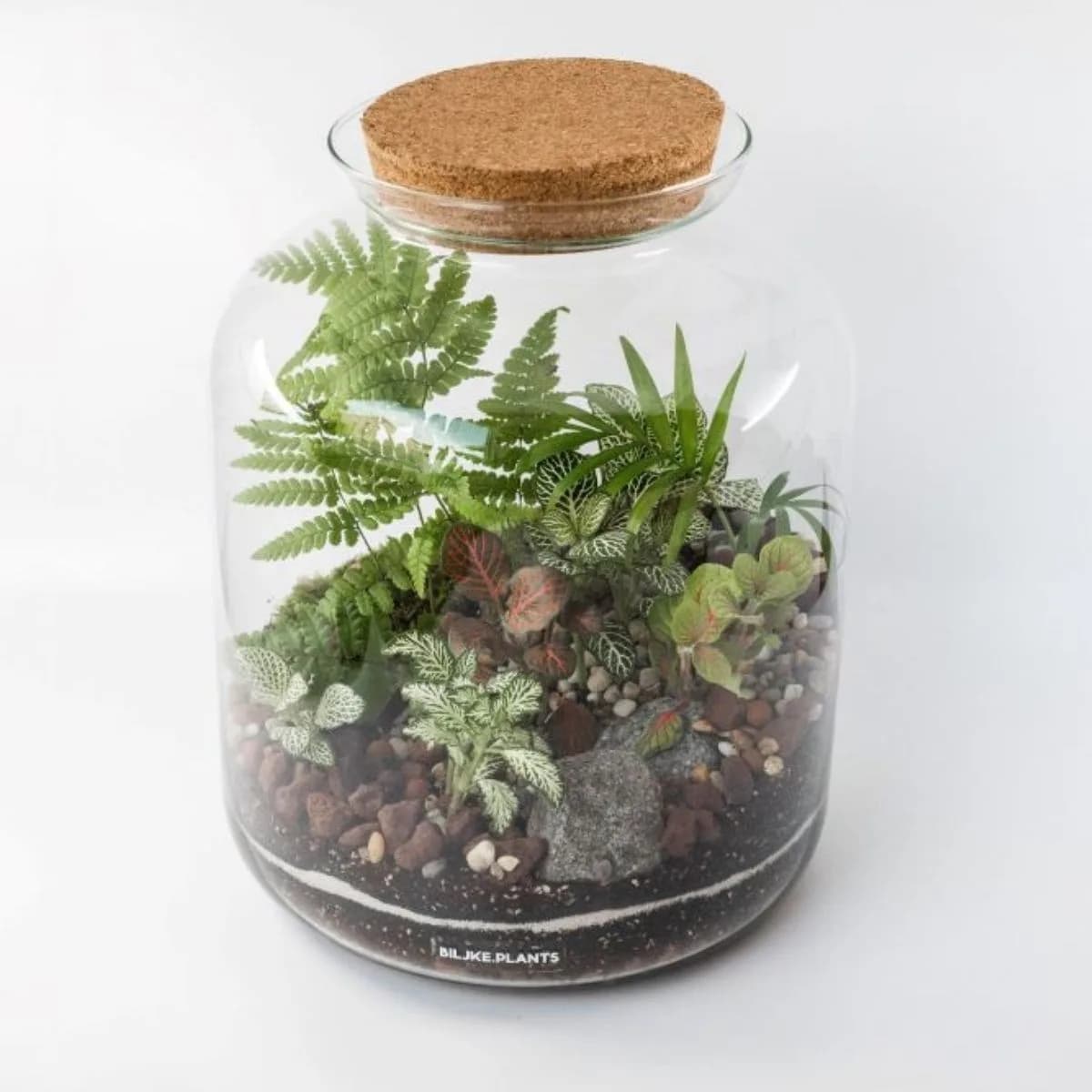 Terarij Greenland XXL je veliki oblik terarija koji sadrži paprat, zelene fitonije, bonsai stablo i puno različitih kamenčića.