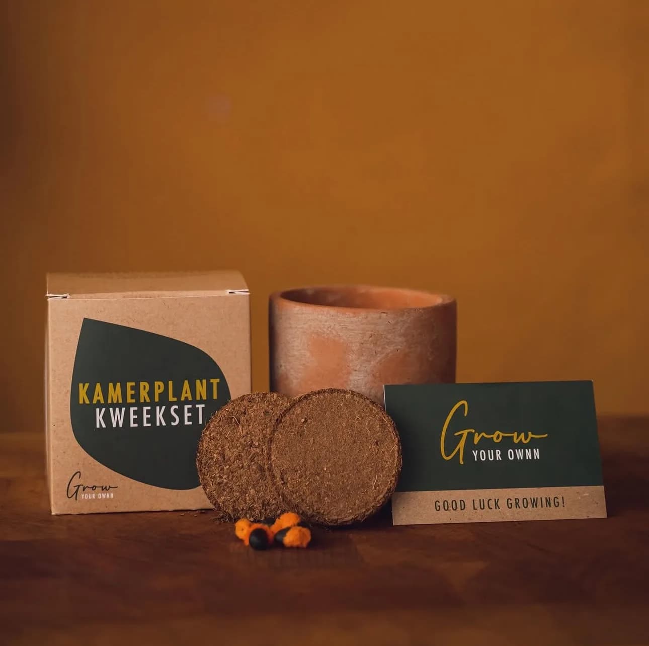 DIY set: Za uzgoj sobne biljke iz sjemena - Grow Your Own