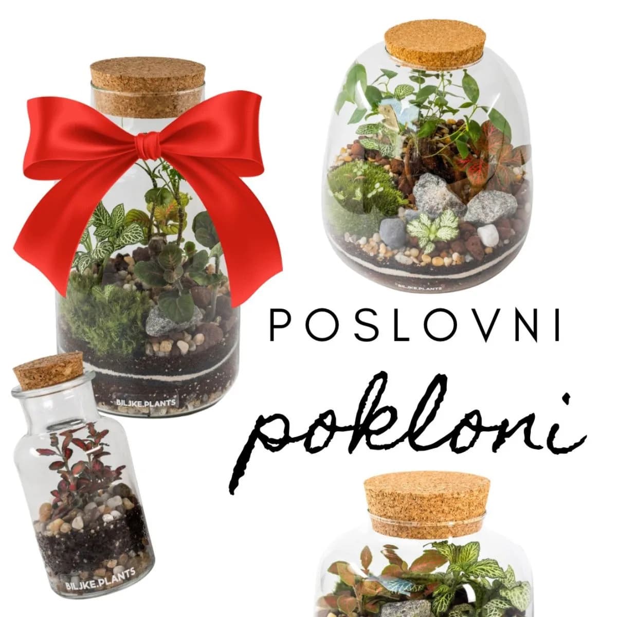 Slika prikazuje natpis Poslovni poklon i razne terarije različitih veličina.
