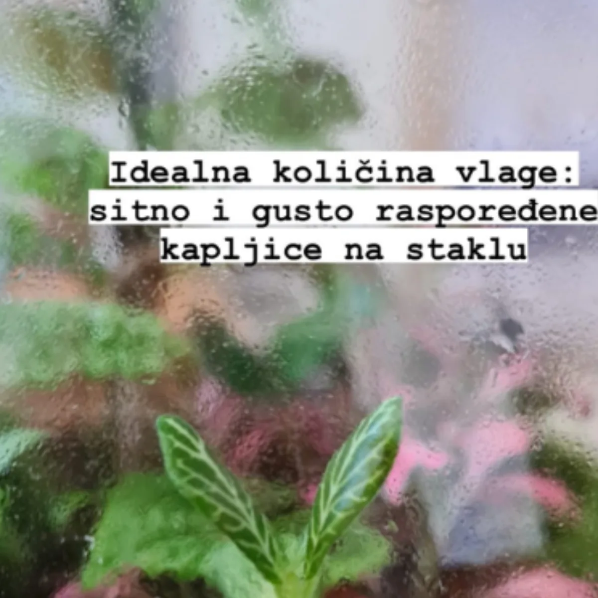 Slika prikazuje idealnu količinu kapljica i veličinu.